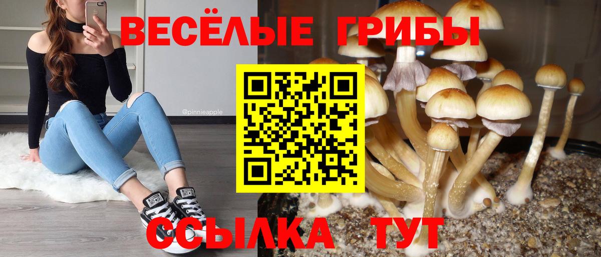 Галлюциногенные грибы GOLDEN TEACHER  Вход с VPN  Клин 